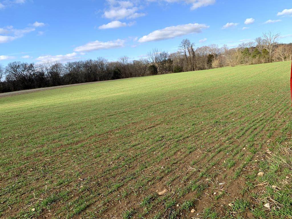 1704 Corby Bridge Road - Photo 1