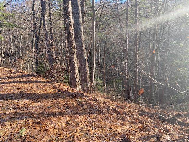 Lot 1028 Azalea Circle - Photo 1