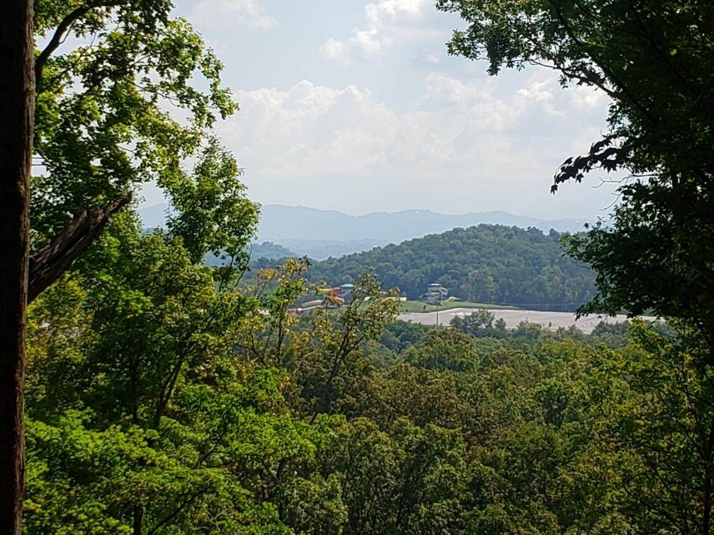 Reed Schoolhouse Road - Photo 1