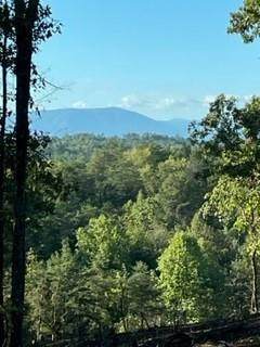 Reed Schoolhouse Road - Photo 1