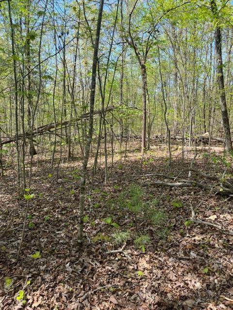 Lot 37 Cardinal Dr. - Photo 1