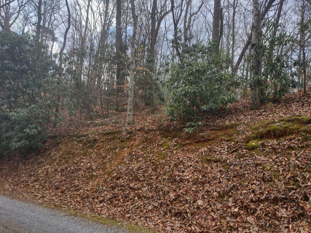TR/4 Valley Home Rd. - Photo 1