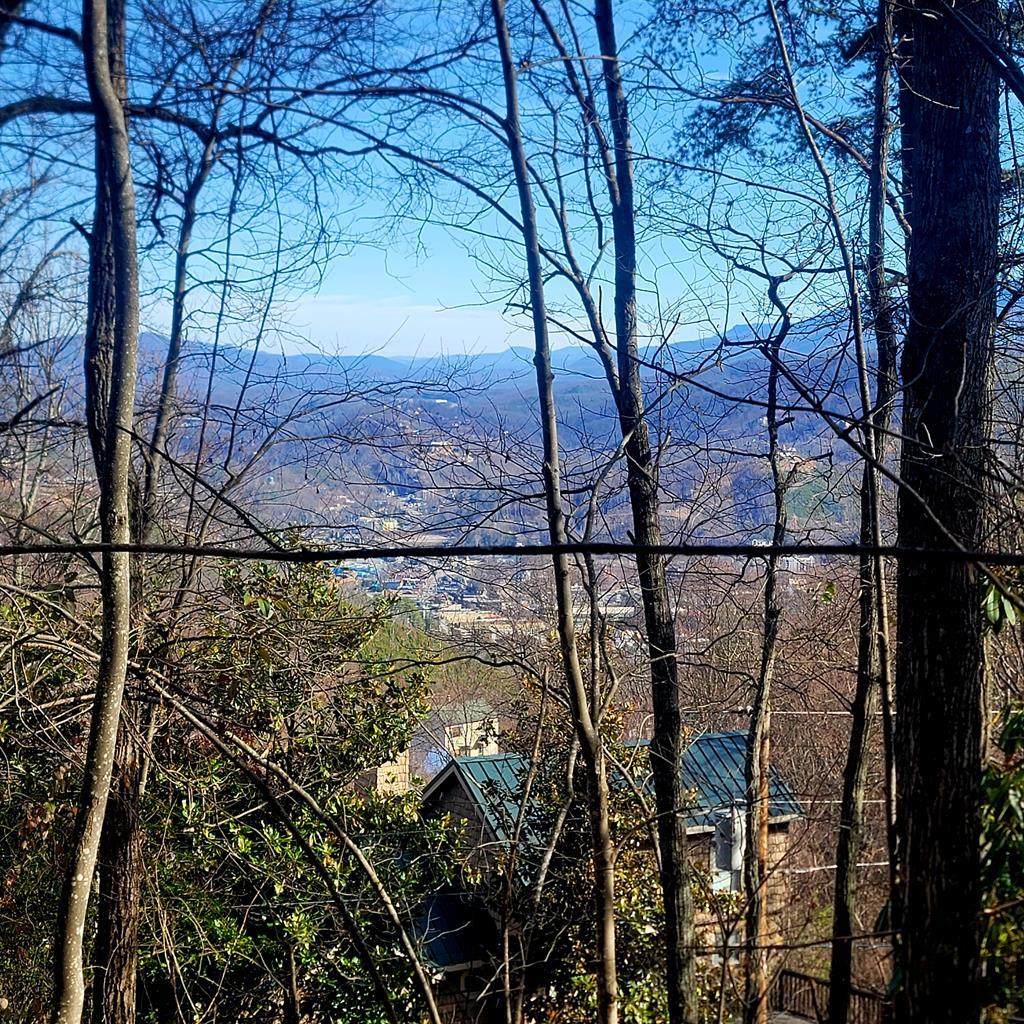 Lot 17 Zurich Rd - Photo 1