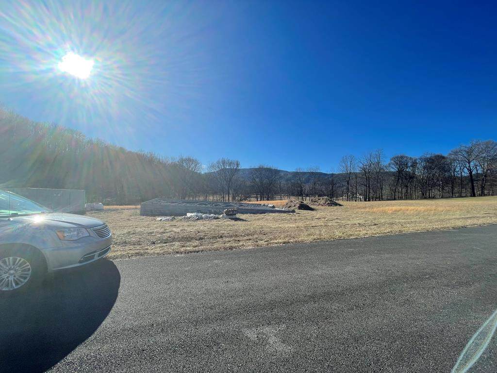 228 Buttercup Fields Rd - Photo 1