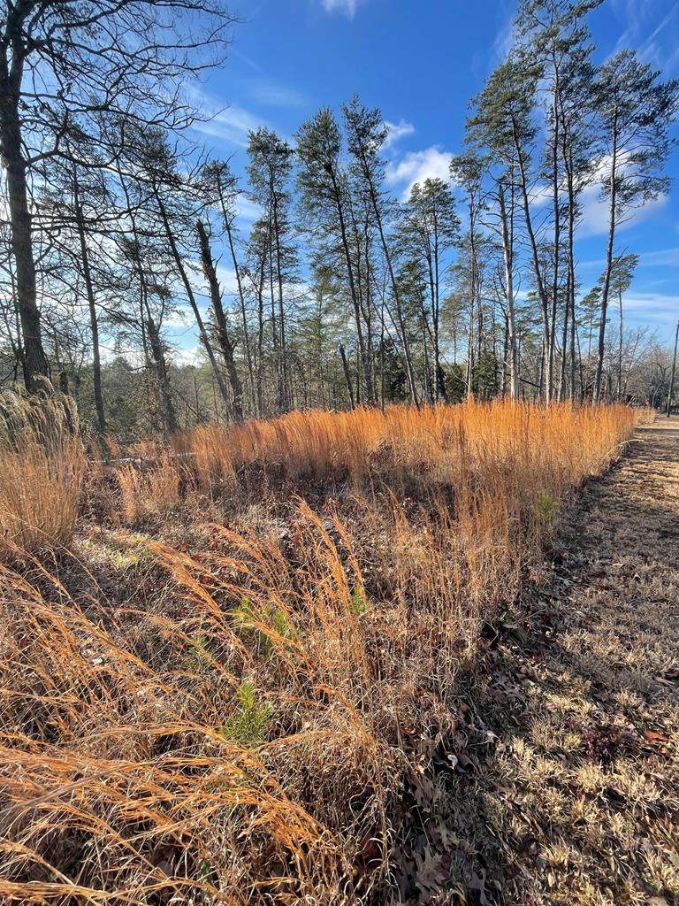 French Broad River Rd - Photo 1