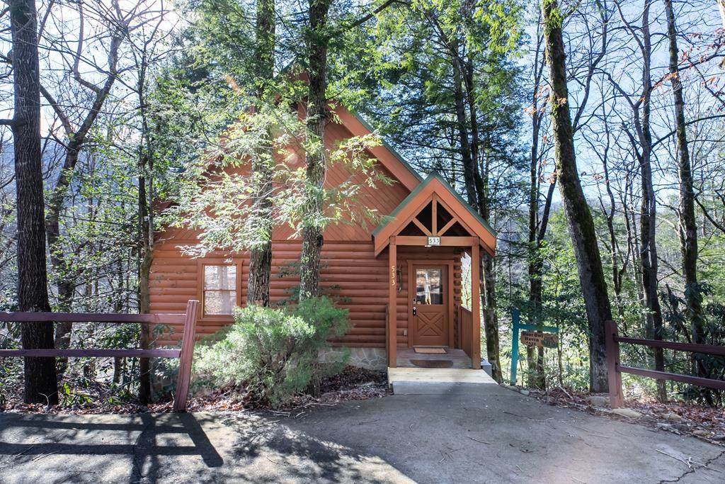 533 Hoot Owl Way - Photo 1