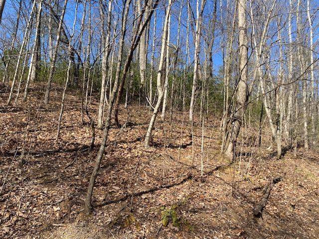 Lot 1765R Red Bud Road - Photo 1