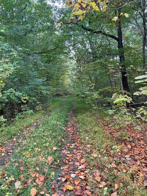 Lot 1208 Lee Pl. 1213 & 1214 Iron Gate - Photo 1