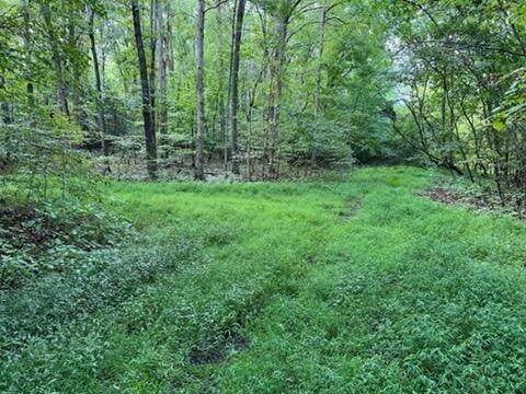 Lot 1205 1206 Lee Place - Photo 1