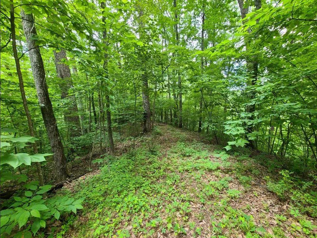 Lot 28 Sonshine Ridge Road - Photo 1
