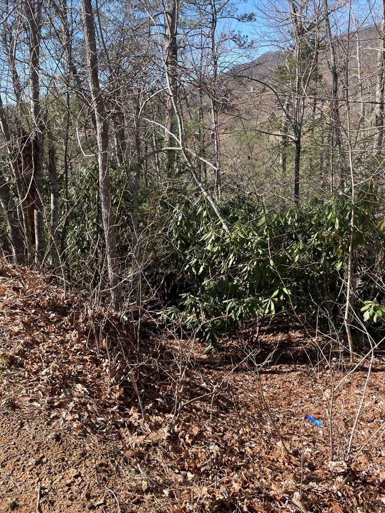 Lot 39&40 Lucerne Way - Photo 1