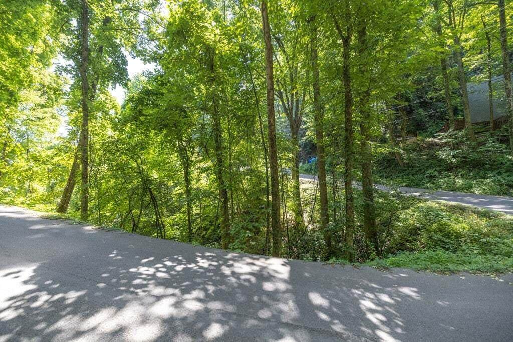 Lot 76 Luzerne Drive - Photo 1