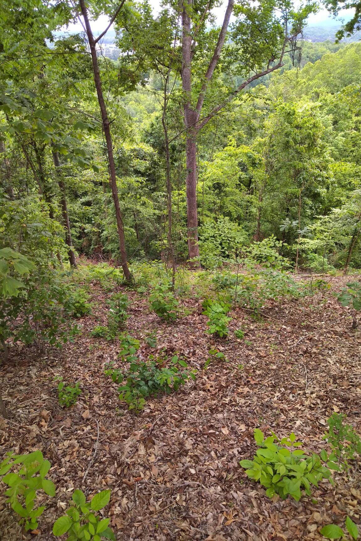 2019 Cluster Oak Way Way - Photo 1