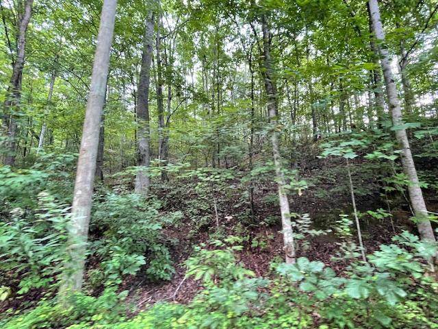 Lot 51 Yellowwood Dr - Photo 1