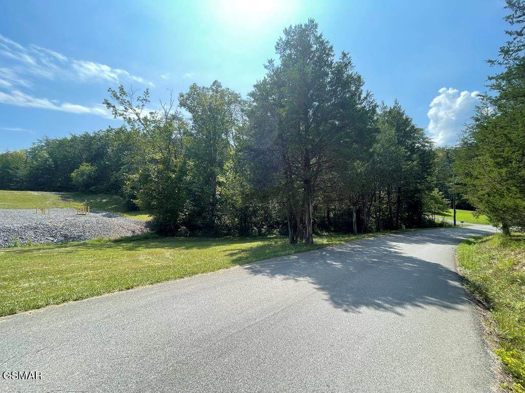Lot 0000 Dyke 9 Road - Photo 1