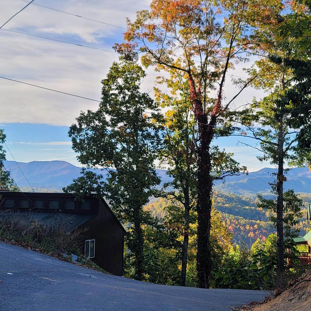 36BF Blue Tick Way - Photo 1