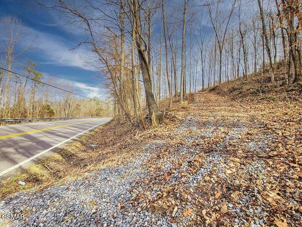 1165 Highway 25-70 - Photo 1