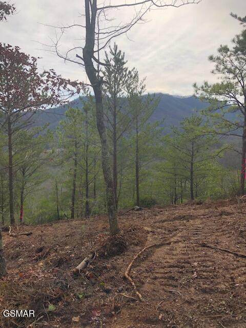 Lot Tr1-B Sulpher Springs Way - Photo 1