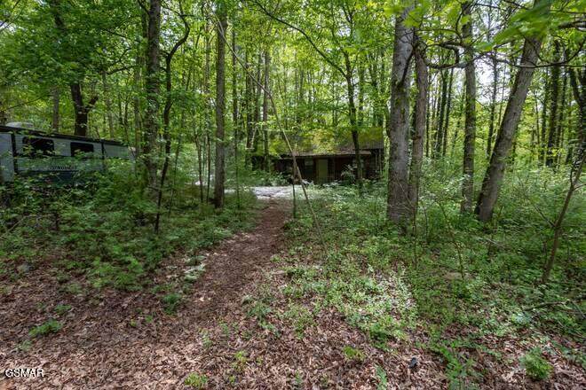 1524 Lin Creek Road - Photo 1