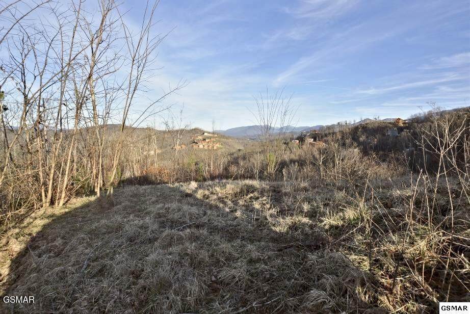 429 Red Hawk Way - Photo 1