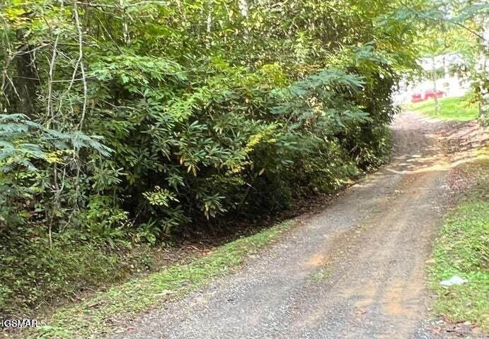 0 Branam Hollow Road Off - Photo 1