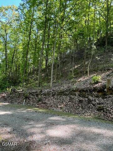 0 Reagan Springs Road - Photo 1