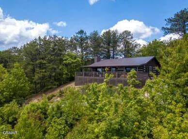 2739 Hatcher Mtn Road - Photo 1