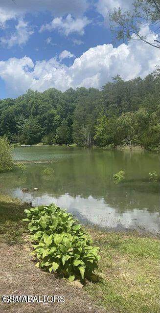 Lot 7 Pleasure Road - Photo 1