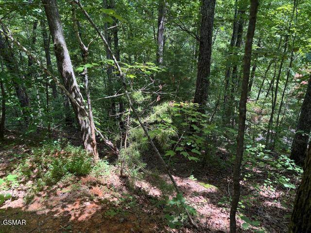 Lot 1302 Balsam Circle - Photo 1