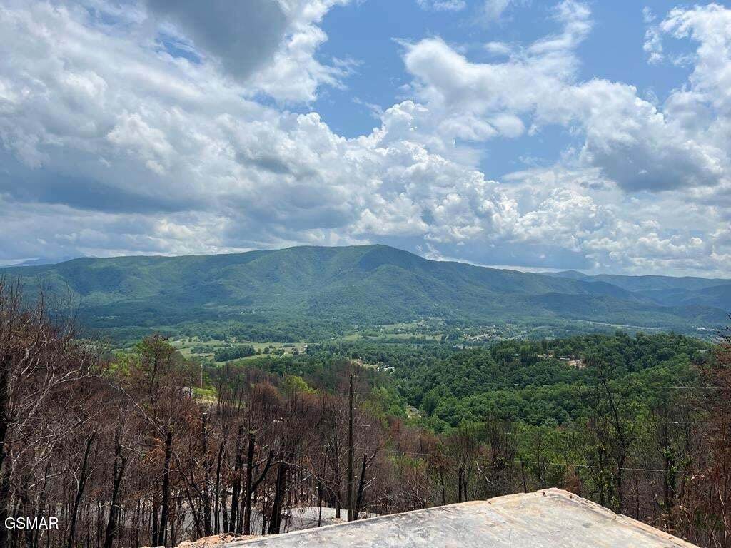 2518 Hatcher Mountain Road - Photo 1