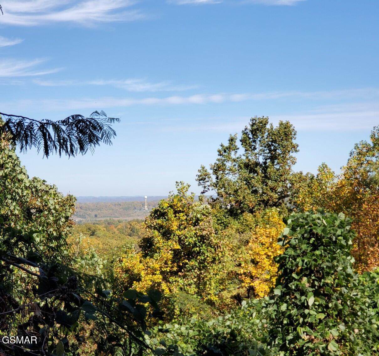 Lot 35R Pine Peak Way - Photo 1