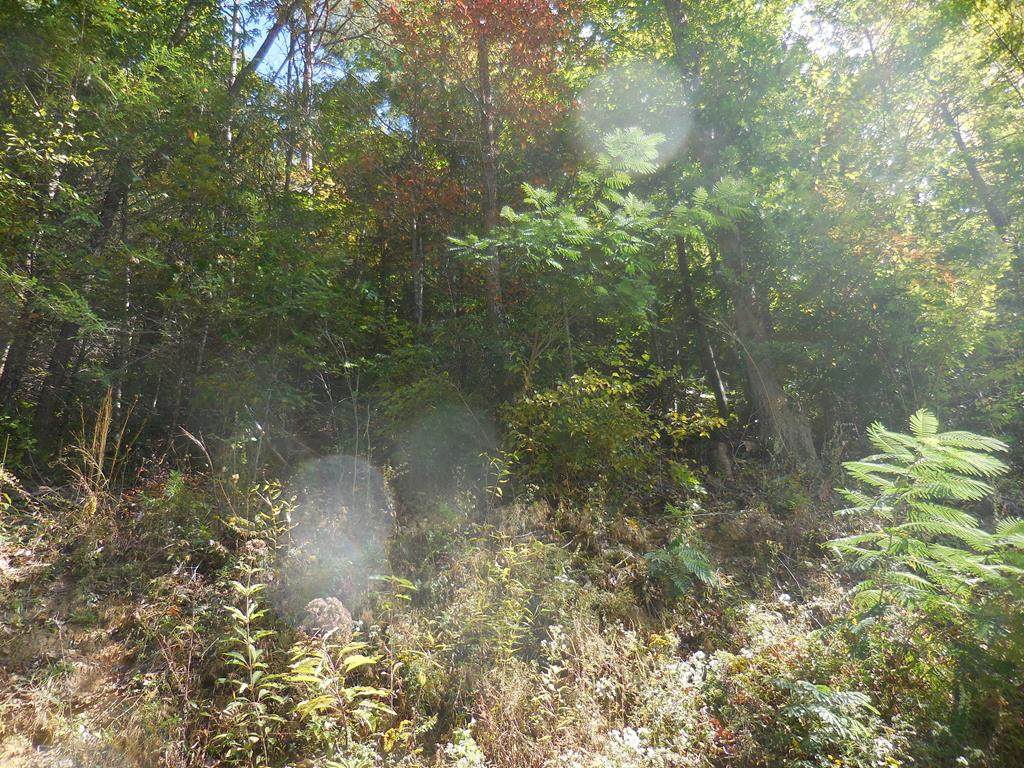 Lot 7 Hidden  Valley Road - Photo 1