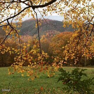 00 Mountain Laurel Way - Photo 1