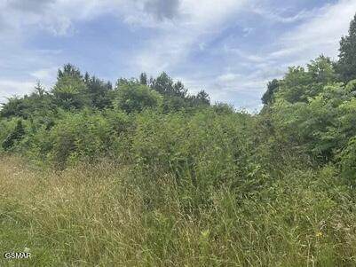 0 Saddleridge Drive - Photo 1