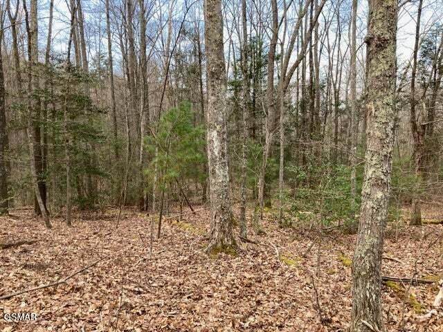 0 Dockery Branch Road - Photo 1