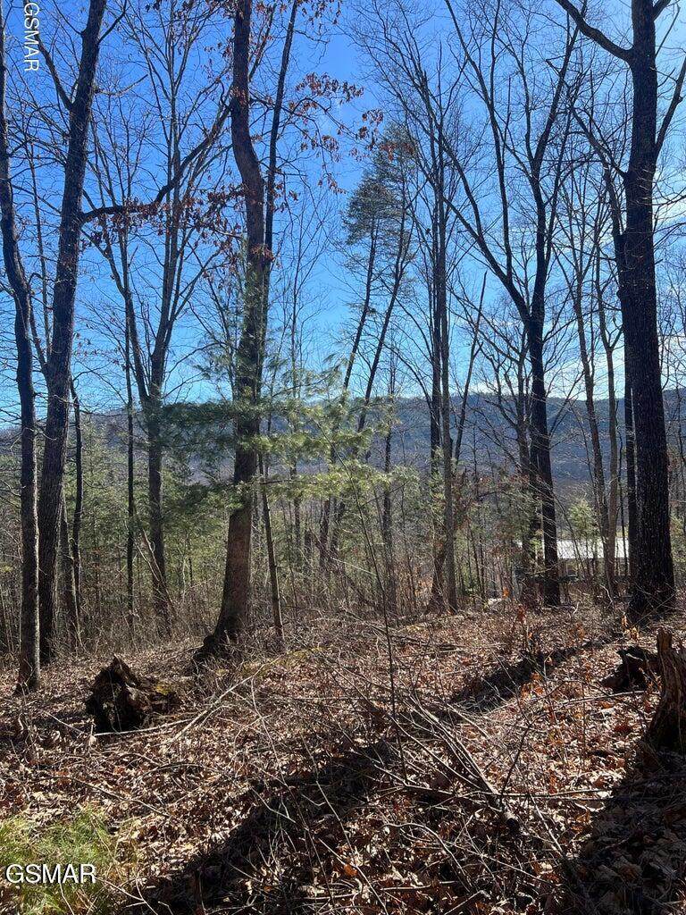 1012 Country Mountain Road - Photo 1