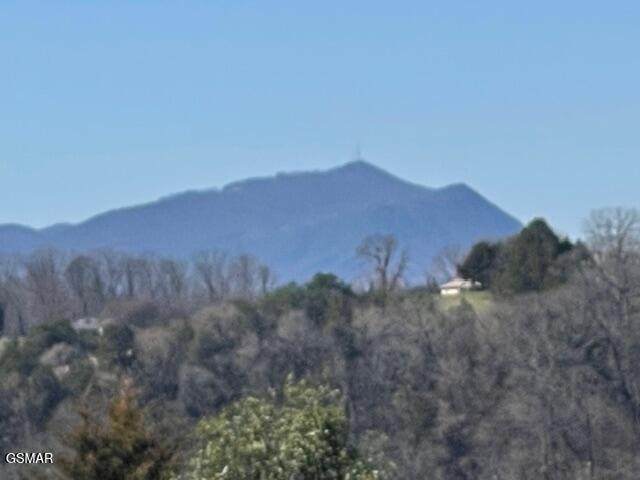 https://bt-photos.global.ssl.fastly.net/gsmar/orig_boomver_1_310593-2.jpg