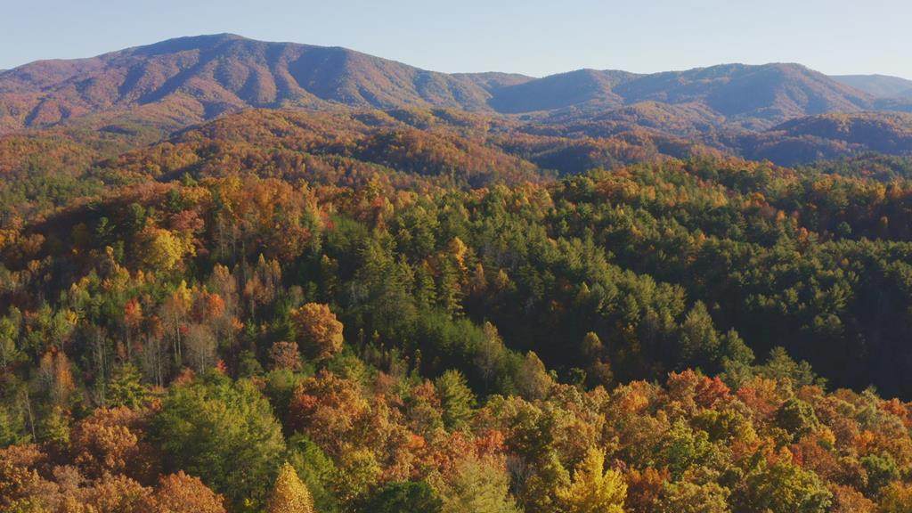 410 Seay Hollow Road - Photo 1