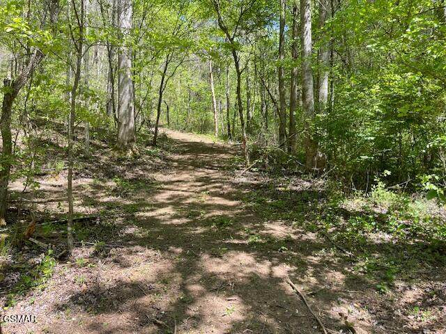 - Jason Pl / Jones Cove Rd -Off - Photo 1