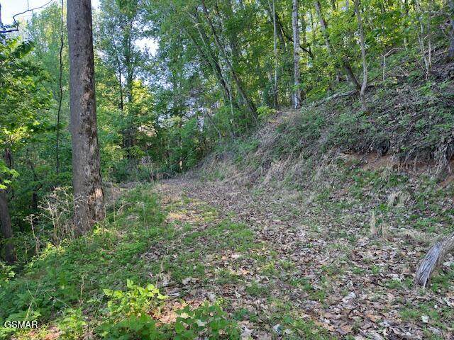 Lot 13 Dove View Road - Photo 1