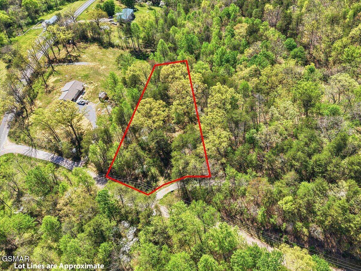 0 Dark Hollow Road - Photo 1