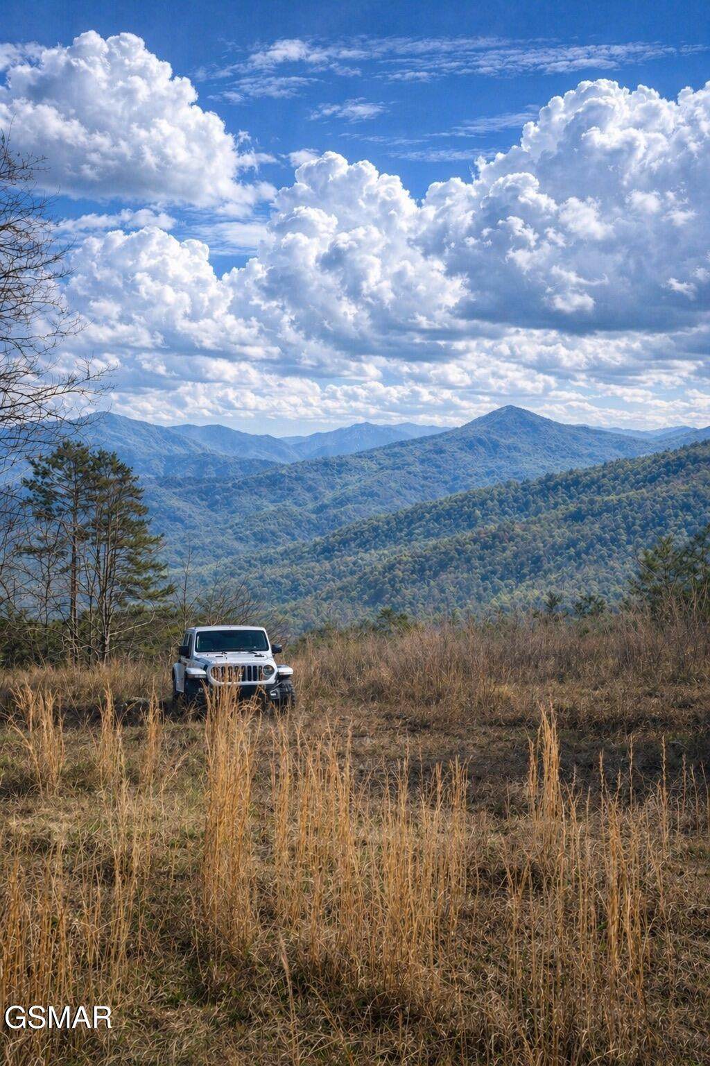 1440 Goose Gap Road - Photo 1