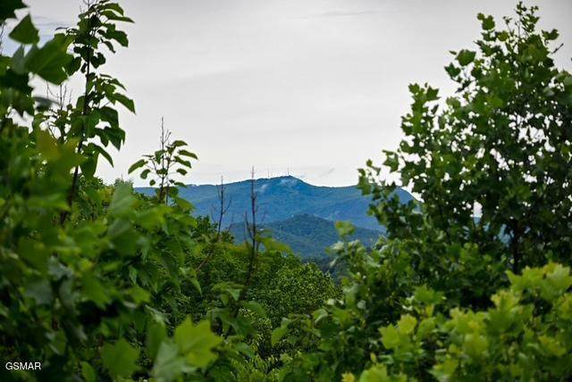 https://bt-photos.global.ssl.fastly.net/gsmar/orig_boomver_1_311707-2.jpg