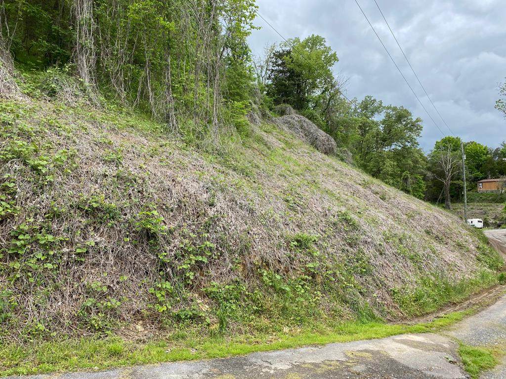 lot 4 Coveside Way - Photo 1