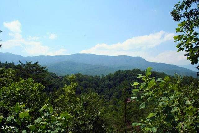 Lot 64 Vixen Run - Photo 1