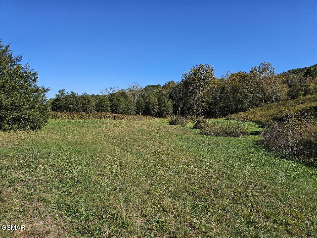 Lot 35 Shoreline Vista - Photo 1
