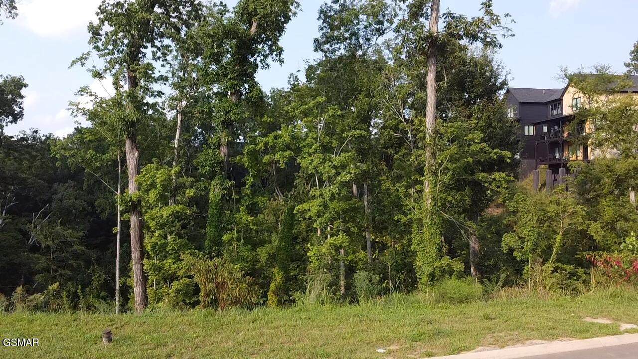 Lot 144 Reedmont Way - Photo 1