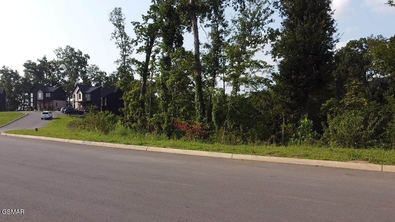 Lot 145 Reedmont Way - Photo 1