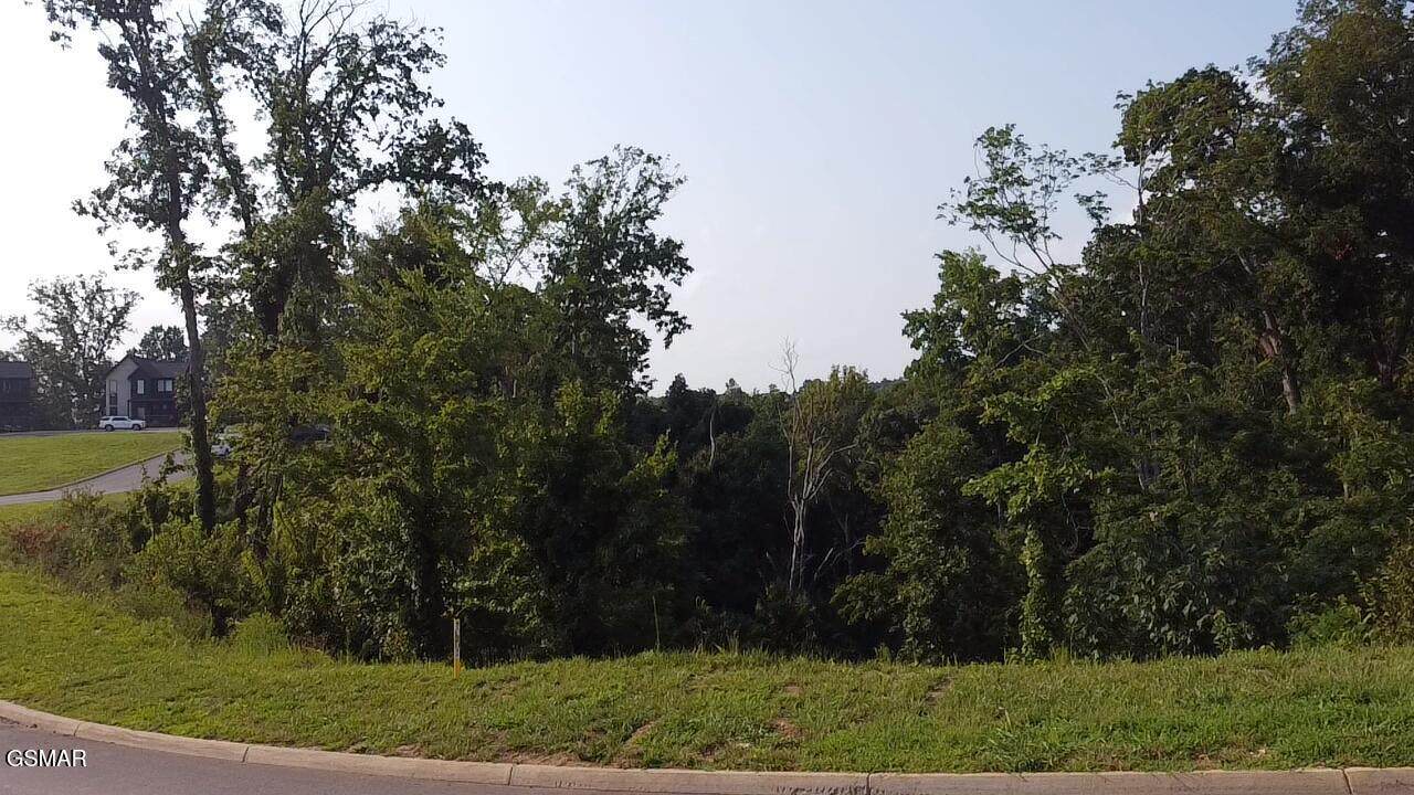https://bt-photos.global.ssl.fastly.net/gsmar/orig_boomver_1_313305-2.jpg