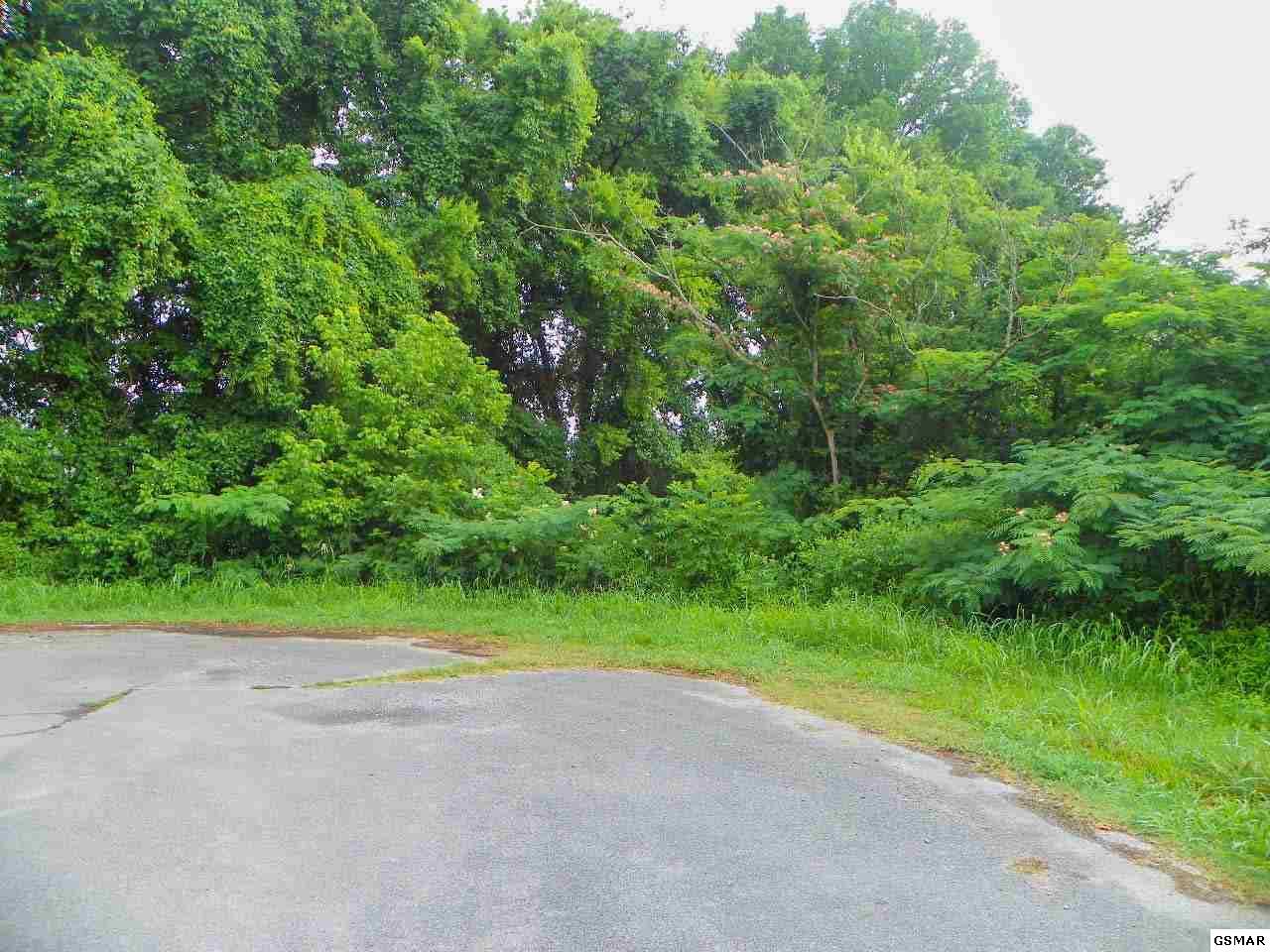 Lot 28 River Bank Road - Photo 1